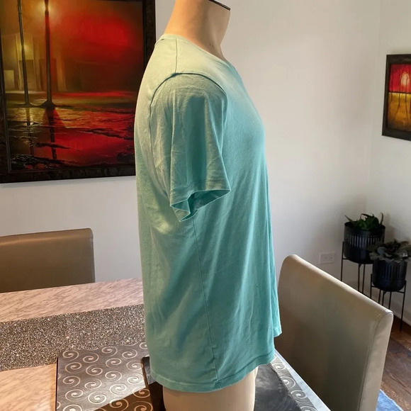 Banana Republic Large Fitted Vee Short Sleeve T Shirt - Picture 3 of 5